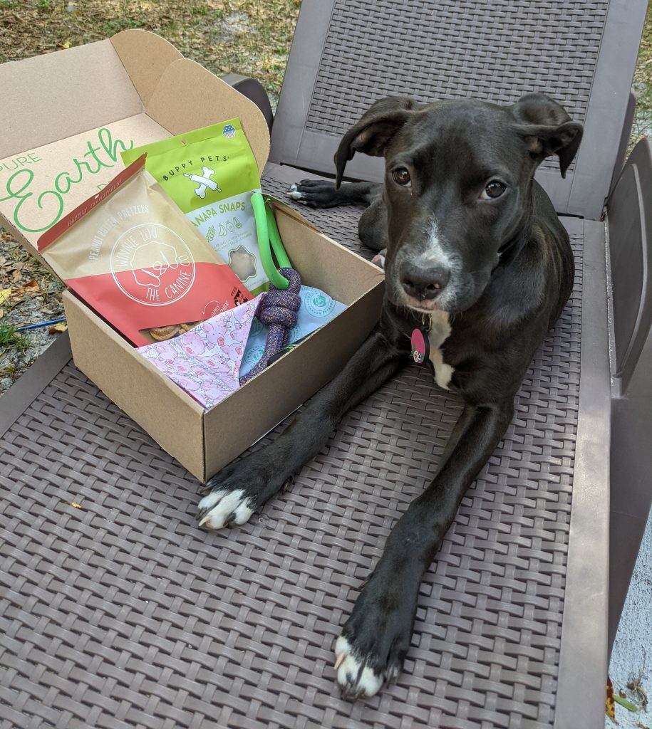 Furrball Friday: Pure Earth Pets Eco-Friendly Dog Box Review